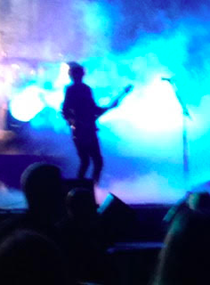 photo courtesy of Cindy Koller