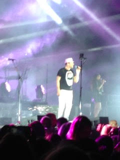 photo courtesy of Cindy Koller